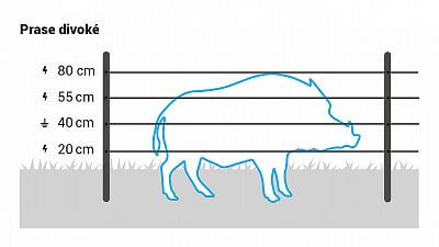 Recommended wire heights