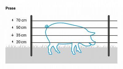 Recommended wire heights