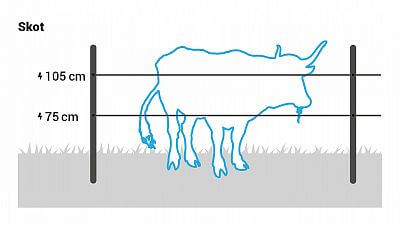 Recommended wire heights