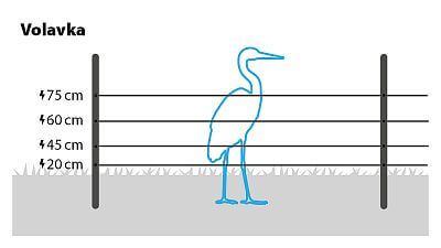 Recommended wire heights
