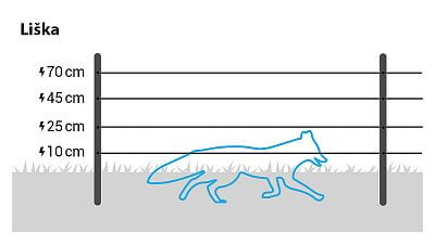 Recommended wire heights