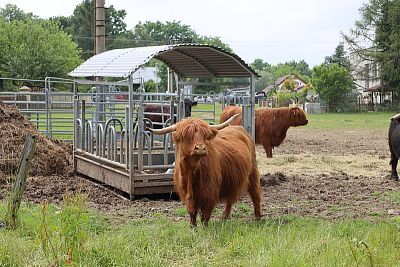 Smart Farm fencee Cloud at Highland Vels Farm