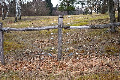 Smart Farm fencee protects animals in the Sheep and Goat Farmers' Association