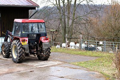 Smart Farm fencee protects animals in the Sheep and Goat Farmers' Association