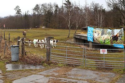 Smart Farm fencee protects animals in the Sheep and Goat Farmers' Association