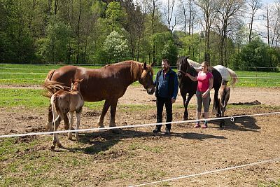 Smart Farm makes everyday life easier at Coldriver Ranch