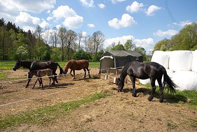 Smart Farm makes everyday life easier at Coldriver Ranch