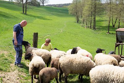 Smart Farm with fencee Cloud app at the sheep Farm Petrlak