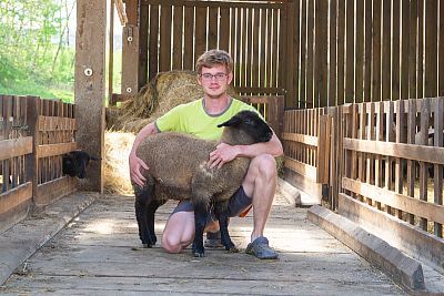 Smart Farm with fencee Cloud app at the sheep Farm Petrlak