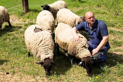 Smart Farm with fencee Cloud app at the sheep Farm Petrlak