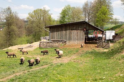 Smart Farm with fencee Cloud app at the sheep Farm Petrlak