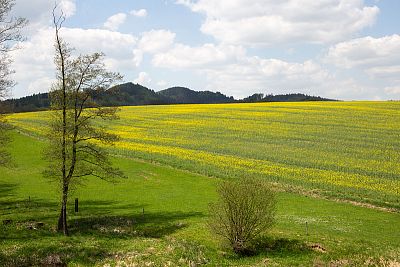 Smart Farm with fencee Cloud app at the sheep Farm Petrlak