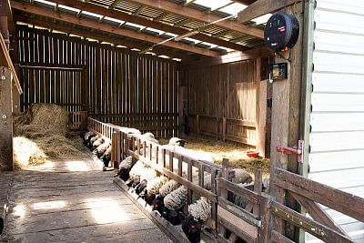 Smart Farm with fencee Cloud app at the sheep Farm Petrlak