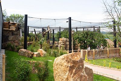 View of the new outdoor aviaries near Jaguar Trek