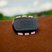 Smart GPS Tracker for horses fencee EquiGPS Track