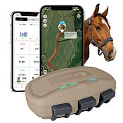 Smart GPS Tracker for horses fencee EquiGPS Track