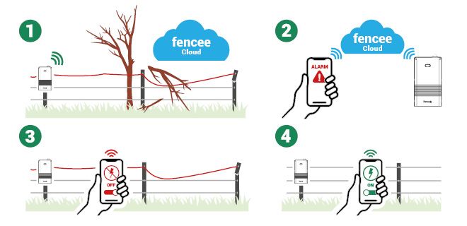 How does LTE Monitor work?