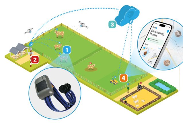 Smart animal tracking in practice