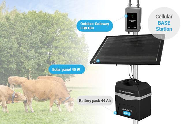 Cellular base station